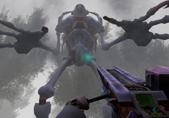 Abiotischer Faktor –