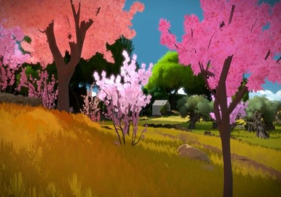 The Witness – Game Key