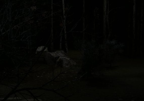 Blood Trail – Game Key