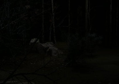 Blood Trail – Game Key