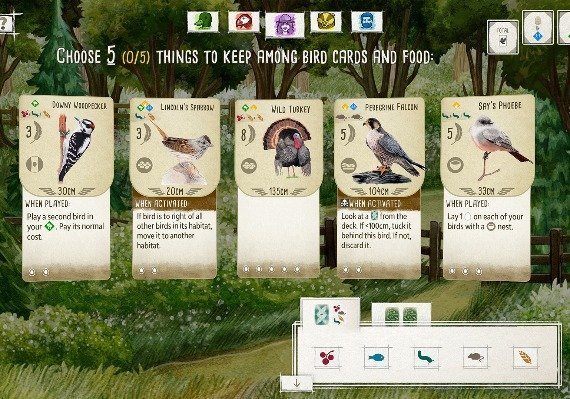 Flügelspannweite –