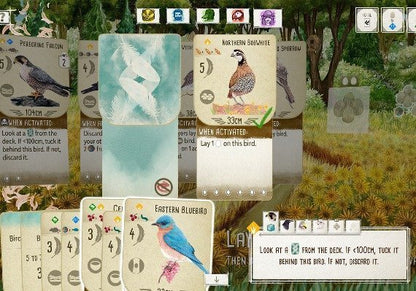 Flügelspannweite –