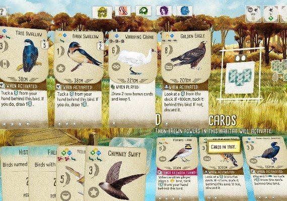 Flügelspannweite –