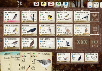 Flügelspannweite –