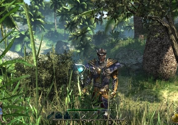 Two Worlds II HD – Game Key