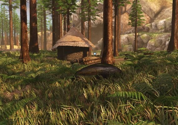 The Forest – Game Key