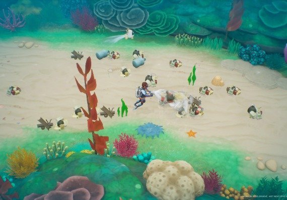 Coral Island – Game Key