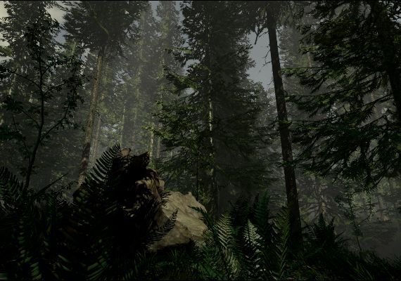 The Forest – Game Key