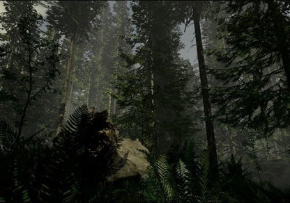 The Forest – Game Key